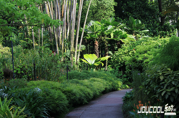 绿色新加坡,新加坡游学,游学