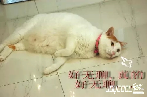 全球感到最无聊的青少年,新加坡排第四