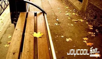 新加坡人的“认真”与“古板”,新加坡游学