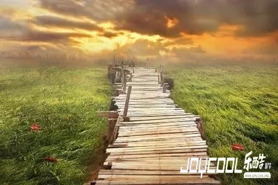 新加坡人,不爱读书,新加坡游学