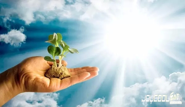 新加坡人,不爱读书,新加坡游学