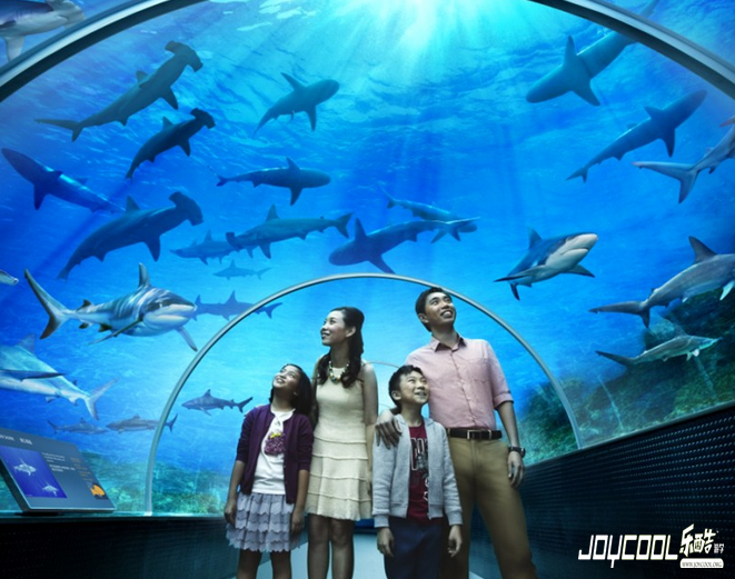 新加坡的绝色美景,新加坡游学