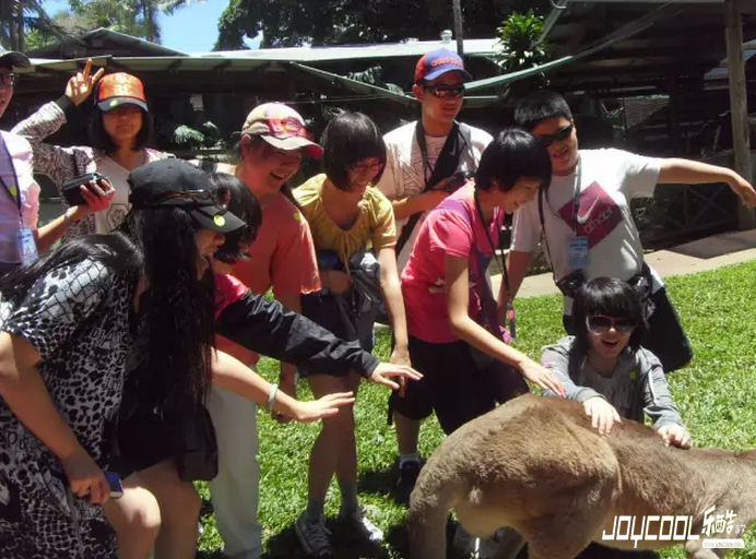 游学,说走就走,国际游学