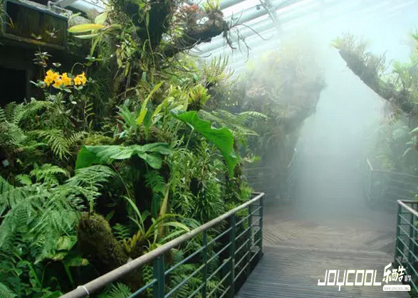 新加坡24小时：狮城弥漫的南洋风情