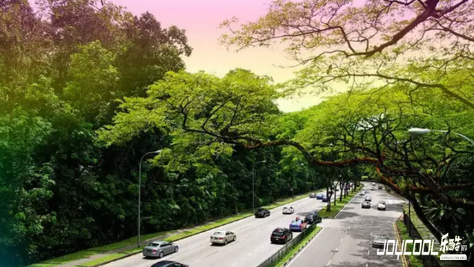 新加坡：罚出来的文明