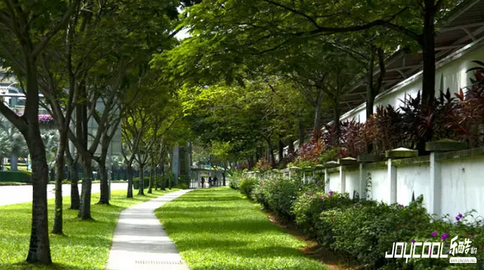 新加坡罚出来的文明,新加坡游学