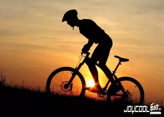 细数新加坡那些拉风的代步工具