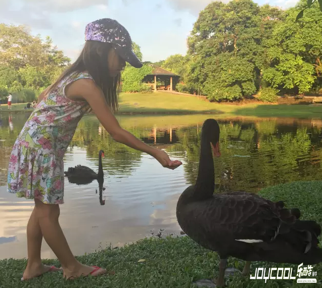 新加坡植物园,新加坡游学,包容与开放