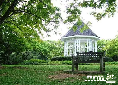 为什么植物园代表了新加坡的包容与开放？