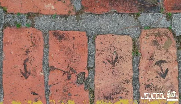 新加坡植物园,新加坡游学,包容与开放