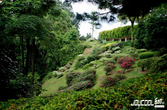 新加坡的“最高峰”——花葩山