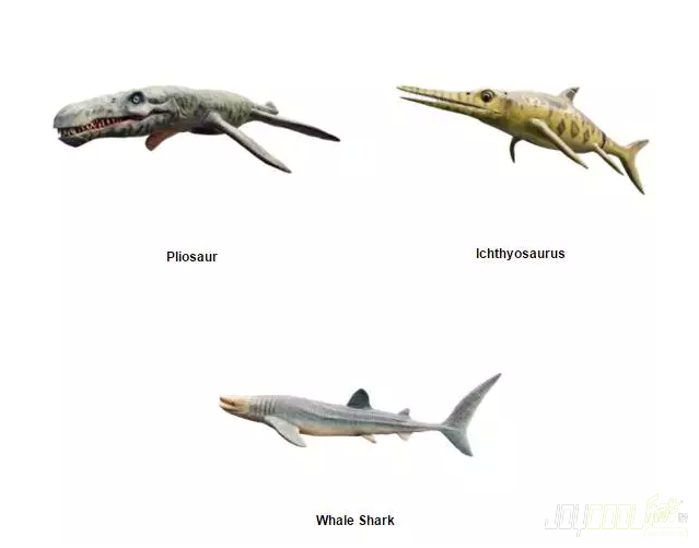 新加坡科学馆,机械海底怪兽展览,新加坡游学