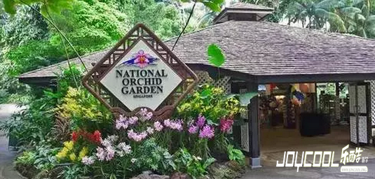 新加坡旅游,新加坡游学,免费体验