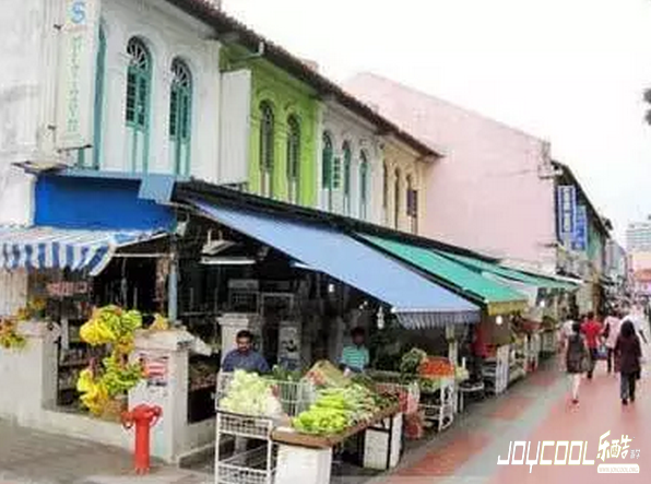 异域风情,深藏新加坡的小印度,新加坡游学