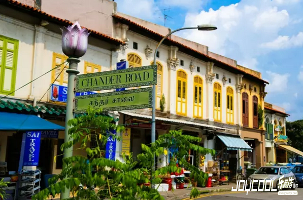 异域风情,深藏新加坡的小印度,新加坡游学