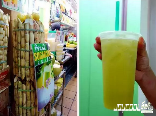 新加坡旅游,新加坡游学,注意事项