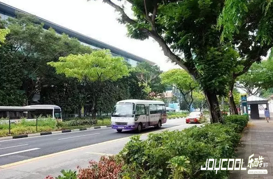 新加坡旅游,新加坡游学,注意事项