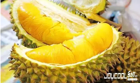 你知道吗？新加坡的"榴莲族"越来越多