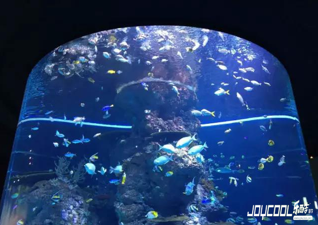 关于新加坡,你不知道的20件事,新加坡游学