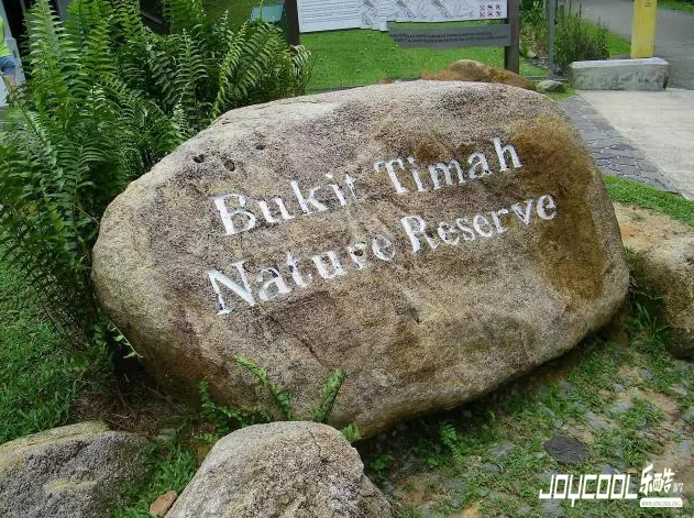 关于新加坡,你不知道的20件事,新加坡游学