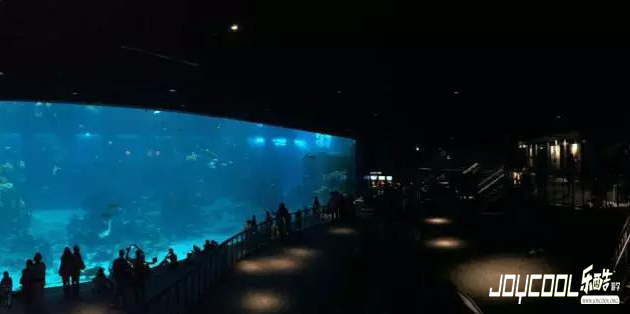 关于新加坡,你不知道的20件事,新加坡游学