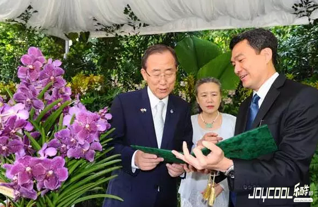 新加坡无处不在的“胡姬花元素”