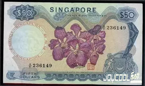 新加坡无处不在的“胡姬花元素”