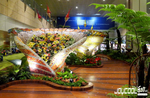 新加坡樟宜机场里的花园 新加坡樟宜机场里的花园