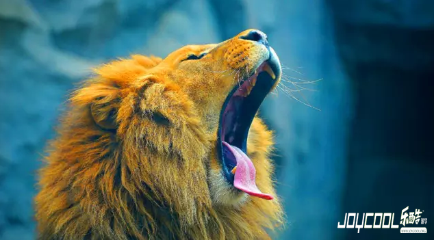 玩转新加坡市区景点,新加坡游学