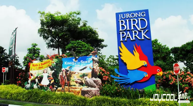 玩转新加坡市区景点,新加坡游学