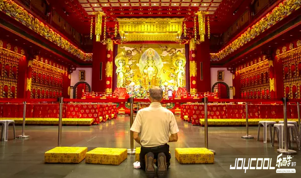 角落里的新加坡——那些你不曾注意的柔软一面