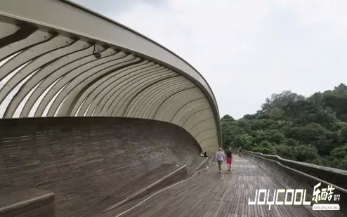 新加坡南部山脊,大自然摄人心魄之美,新加坡游学