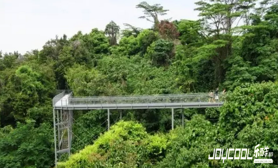 新加坡南部山脊,大自然摄人心魄之美,新加坡游学