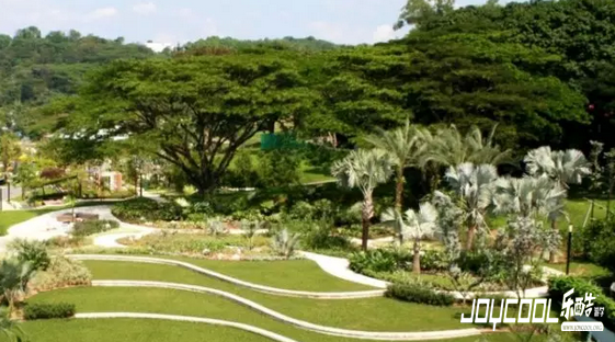 新加坡南部山脊,大自然摄人心魄之美,新加坡游学