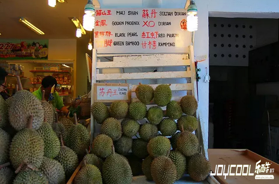 新加坡必吃10味,新加坡游学