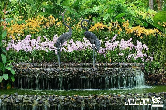 看文化、玩景点——乐享不一样的新加坡