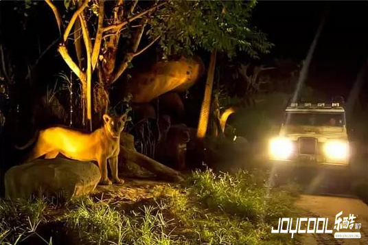 不一样的新加坡,新加坡游学