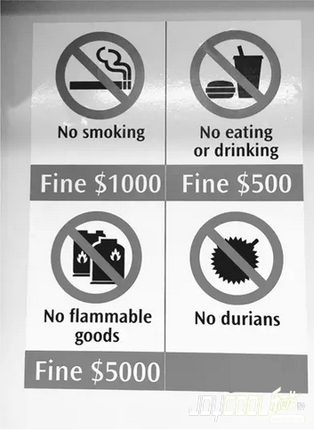 社会公德，新加坡是如何“管”出来的？