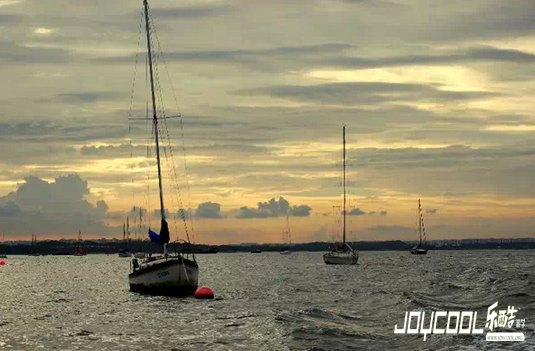 新加坡, 新加坡游学