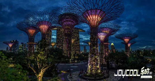 新加坡, 新加坡游学