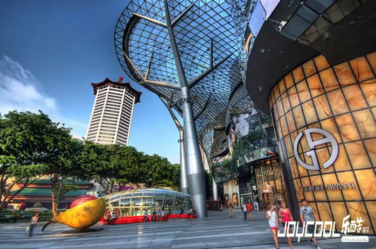 新加坡, 新加坡游学