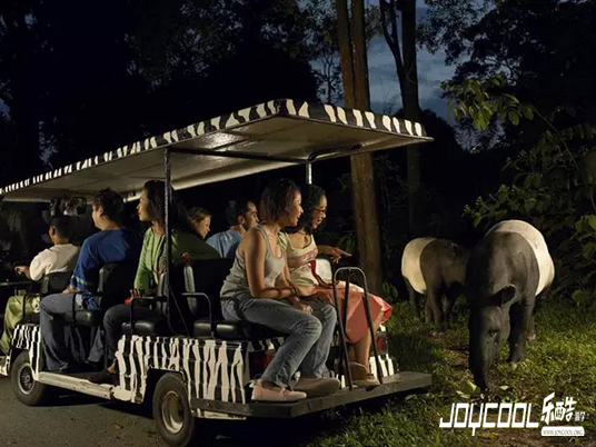 新加坡, 新加坡游学