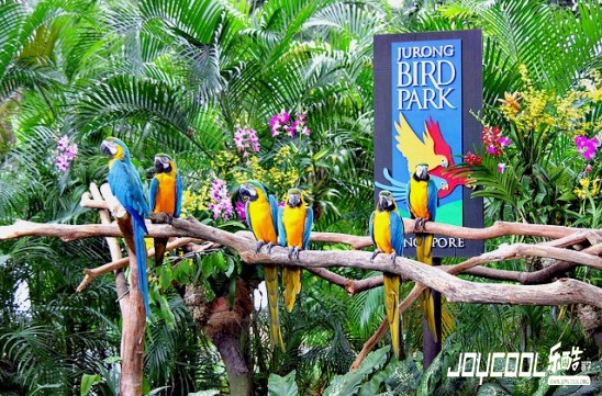 2016年参观新加坡裕廊飞禽公园可享有45%折扣