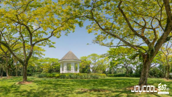 精心挑选10个新加坡必游景点