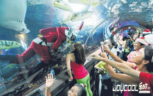 新加坡海底世界 水族饱享圣诞大餐