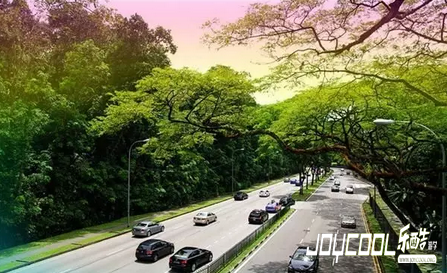 花园城市新加坡的由来,新加坡游学