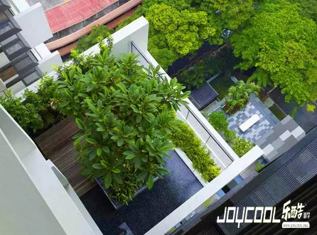 花园城市新加坡的由来,新加坡游学