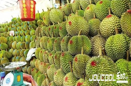 新加坡旅行,新加坡游学,10件玩法