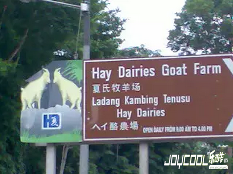 新加坡带娃出游去哪里？