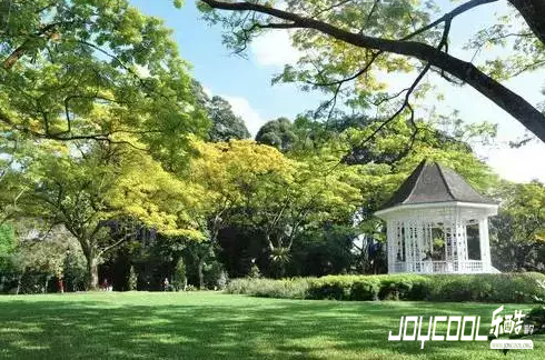 感受新加坡风情的九大必要体验